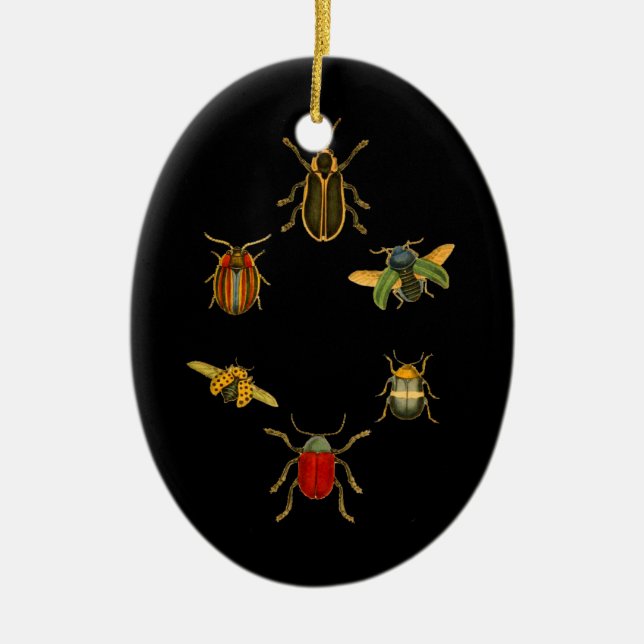 Insekten Keramik Ornament (Vorne)
