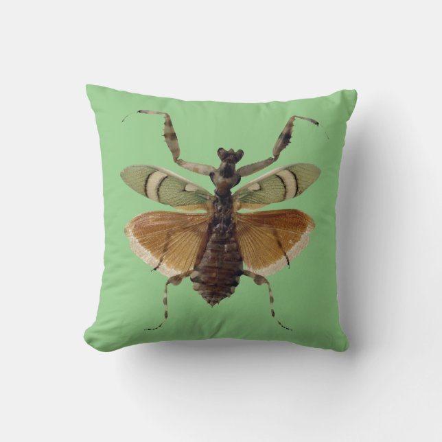 Insekten-Kissen-Grün Kissen (Vorderseite)