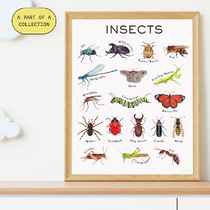 Insekten-Poster Poster