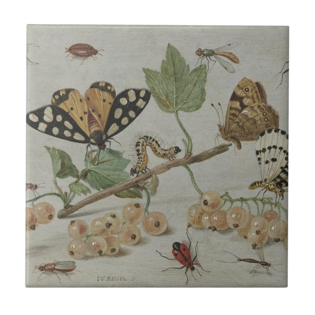 Insekten u. Früchte Fliese (Vorderseite)