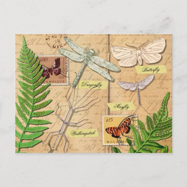 Insekten und der gemeinsame Polypodyfarn Postkarte (Vorderseite)