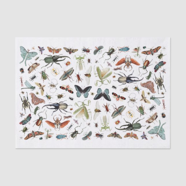 Insekten und Schmetterlinge Vintage BuchIllustrati Seidenpapier (Vorderseite)