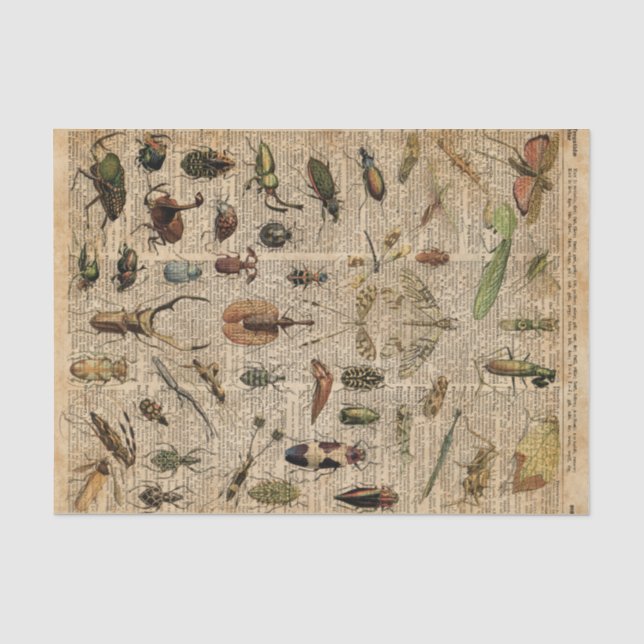 Insekten-Wanzen-Vintage Seidenpapier (Vorderseite)