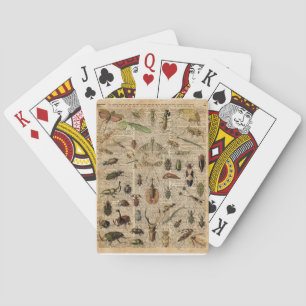 Insekten-Wanzen-Vintage Spielkarten