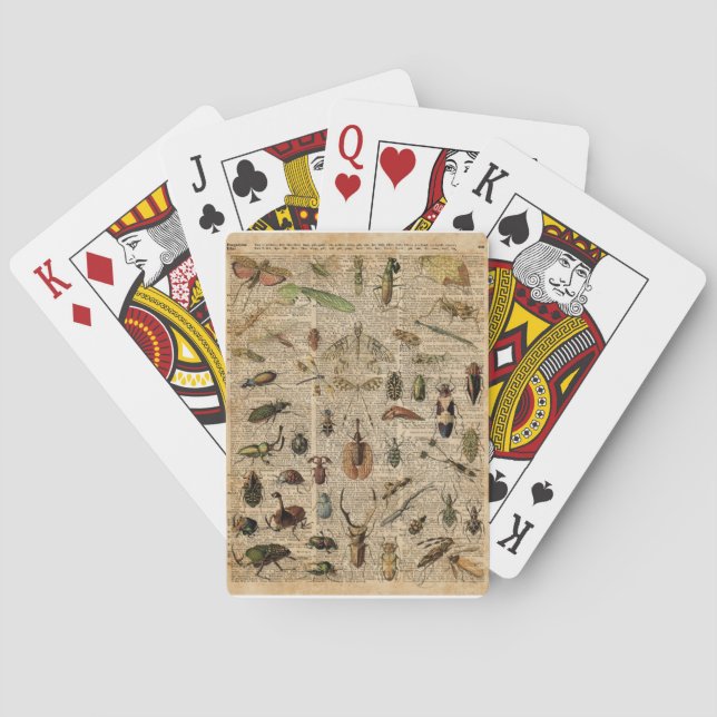 Insekten-Wanzen-Vintage Spielkarten (Rückseite)