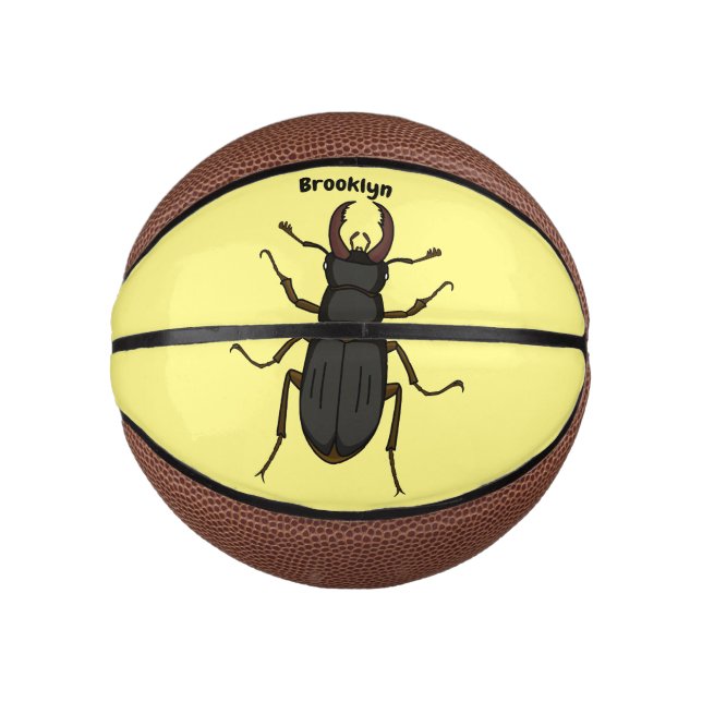 Insektendarstellung Mini Basketball (Vorderseite)