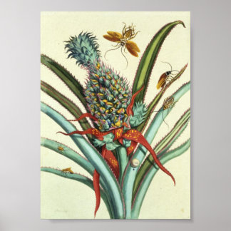 Insektengenerationsplatte 1 poster