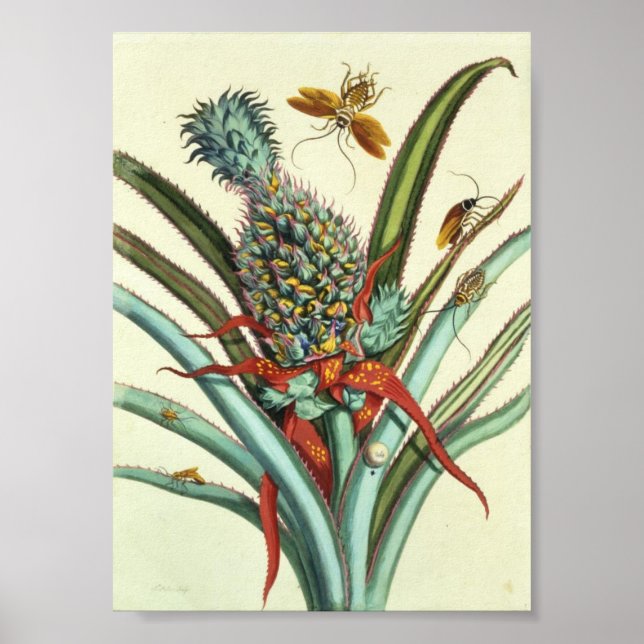 Insektengenerationsplatte 1 poster (Vorne)