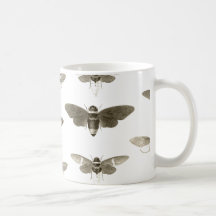 Insektenliebhaber-Tasse - Vintage-Zikaden-Illustra