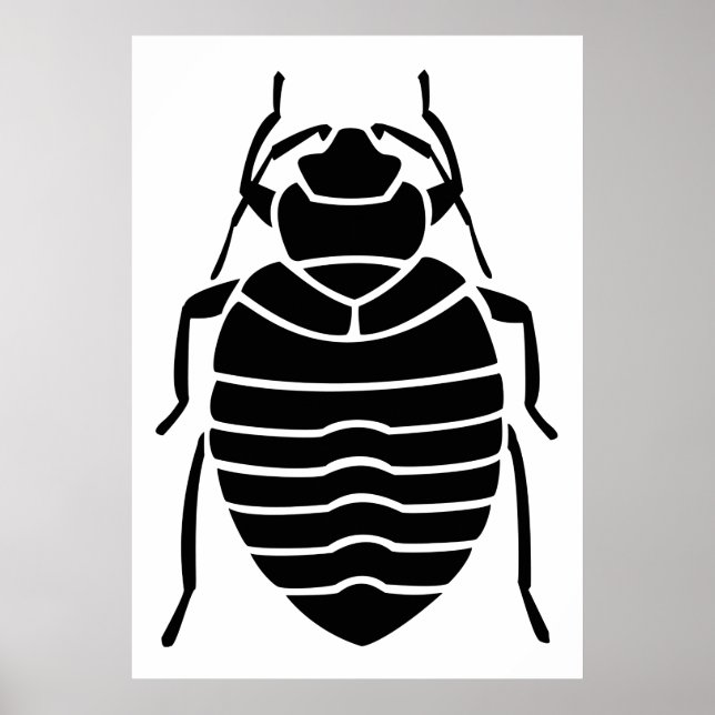 Insektenposter Poster (Vorne)