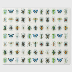 Insektensammlung Aquarellmalerei Insektenkunst  Geschenkpapier