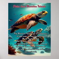 Insel Aloha