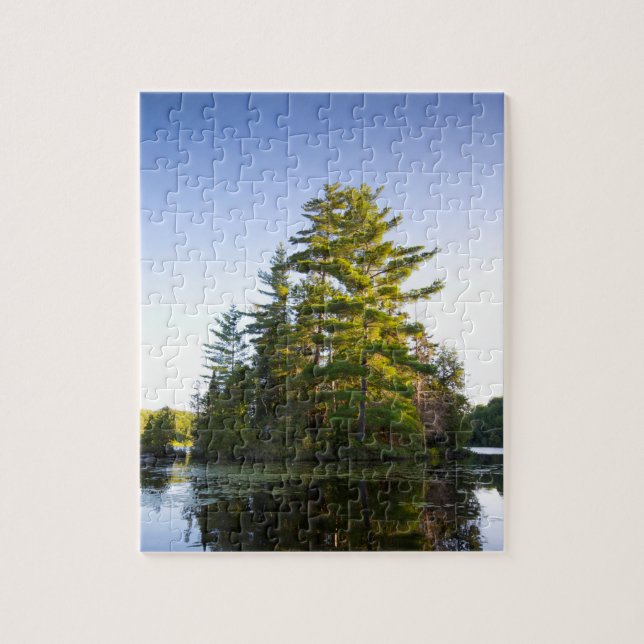 Insel am Lago Long Pond (Vertikal)
