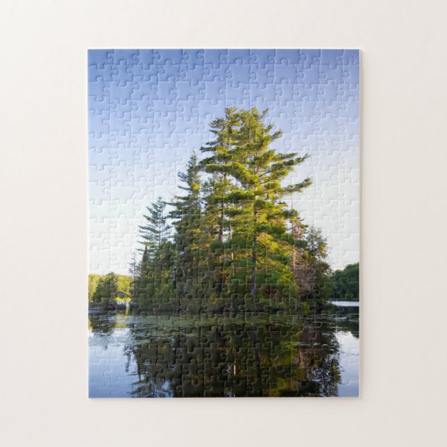 Insel am Lago Long Pond (Vertikal)