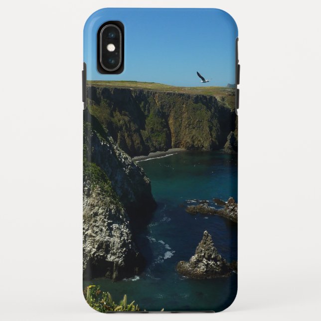Insel Anacapa auf den Kanalinseln Case-Mate iPhone Hülle (Rückseite)