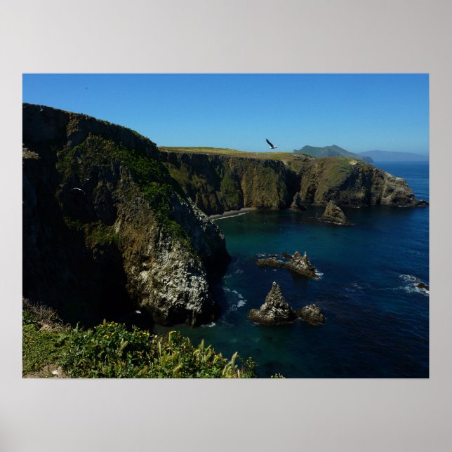 Insel Anacapa auf den Kanalinseln Poster (Vorne)