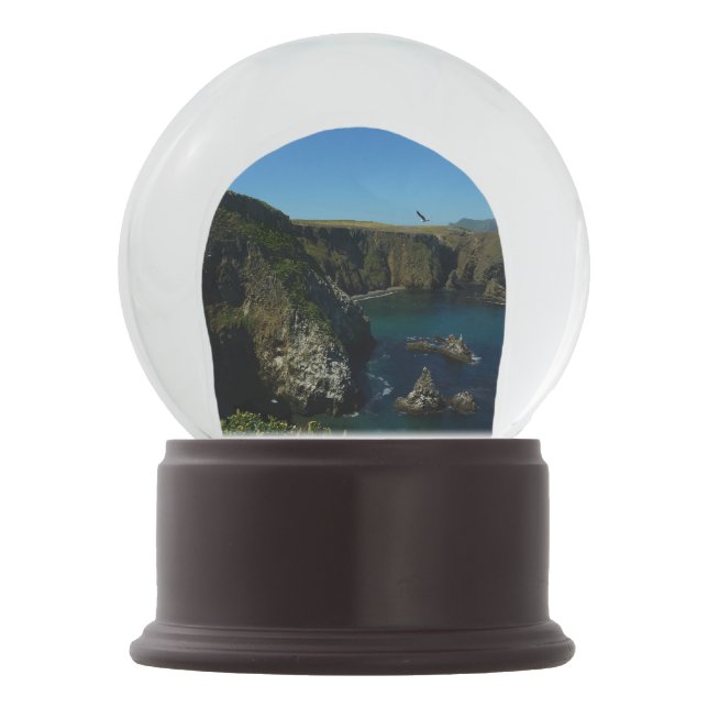 Insel Anacapa auf den Kanalinseln Schneekugel (Vorderseite)