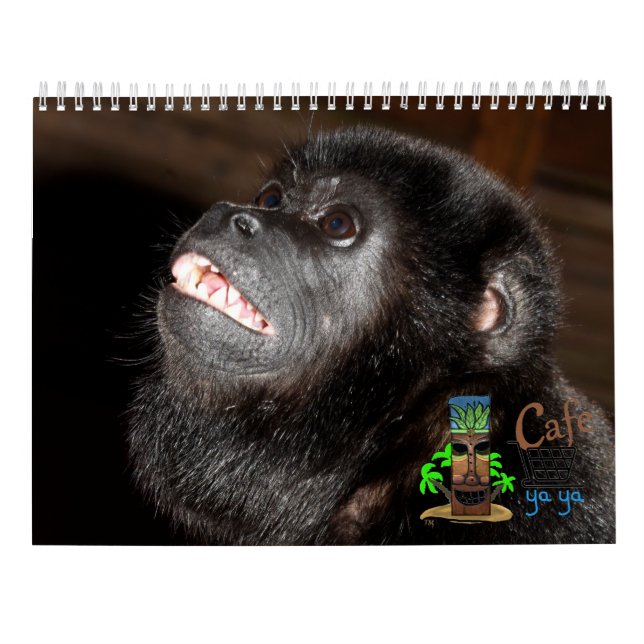 Insel Art Tropical Kalender (Rückseite)