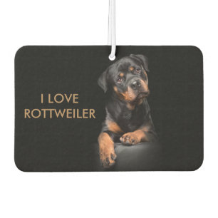 Insel-Brisen-Landschaftsrechteck-Luft Rottweiler Autolufterfrischer