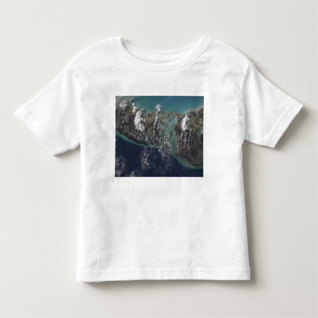 Insel der Bahamas-Andros 2 Kleinkind T-shirt (Vorderseite)