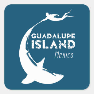 Insel Guadalupe Mexiko Tauchen mit Haien Quadratischer Aufkleber
