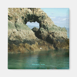 Insel Gull, Alaska Magnet