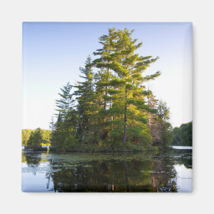 Insel im Long Pond Magnet