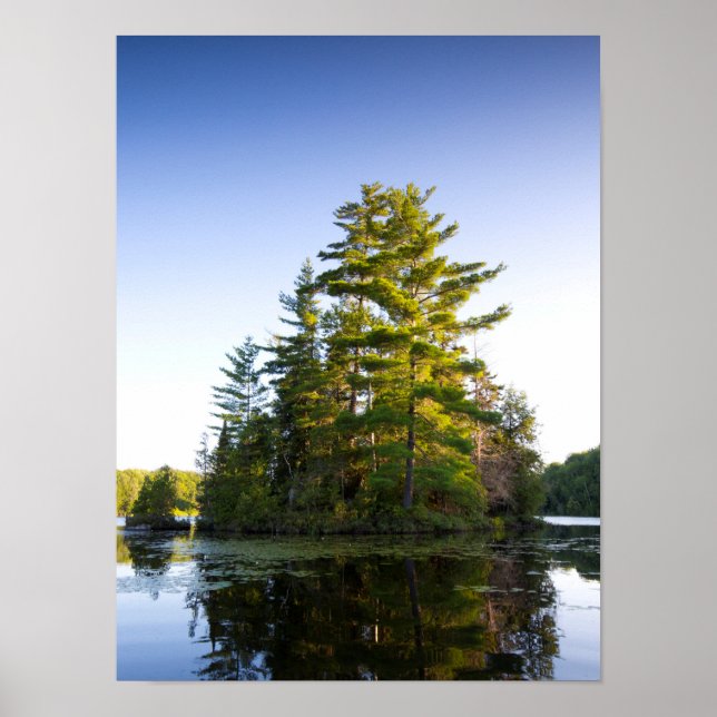 Insel im Long Pond Poster (Vorne)