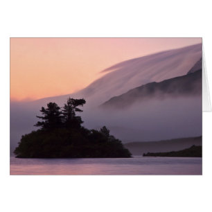 Insel im Mist