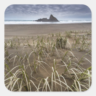Insel Karekare Strand-  Panatahi, Westküste Quadratischer Aufkleber
