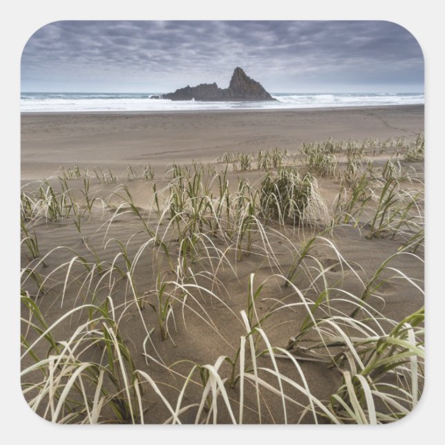 Insel Karekare Strand-| Panatahi, Westküste Quadratischer Aufkleber (Vorderseite)