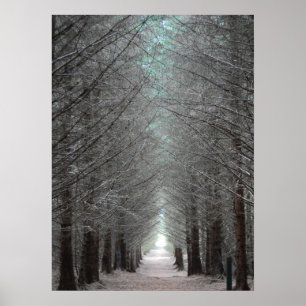 Insel Mull Forest Poster
