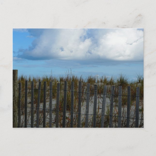 Insel Pawley, South Carolina Postkarte (Vorderseite)