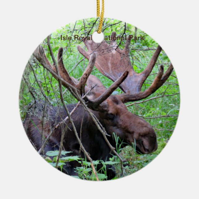 Insel Royale Nationalpark-Verzierung Keramik Ornament (Vorne)