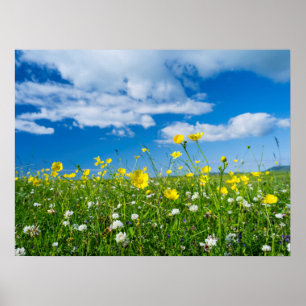 Insel South Uist Schottland Poster