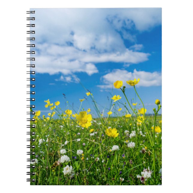 Insel Süduist | Schottland Notizblock (Vorderseite)