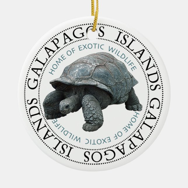 Insel Tortoise Galapagos Keramik Ornament (Vorne)