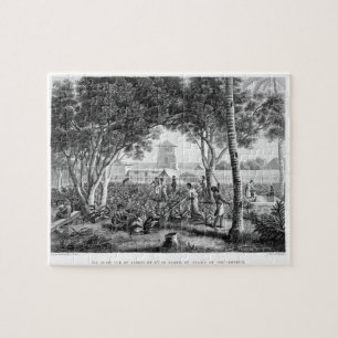 Insel von Guam: Eingeborene bei der Arbeit im