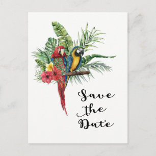 Inselparadies Vögel Tropisch Save The Date Ankündigungspostkarte