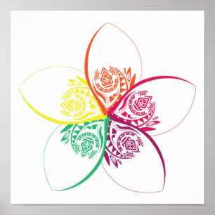 Inselschmuckblume Poster