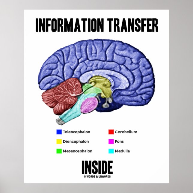 Inside (Gehirnanatomie) Poster (Vorne)