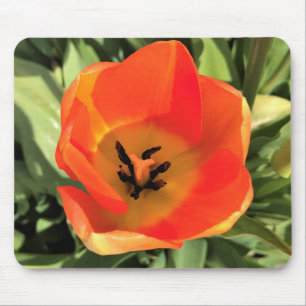 Inside Orange Tulip Mousepad