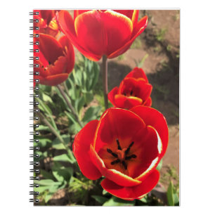 Inside Red Tulips Notizblock