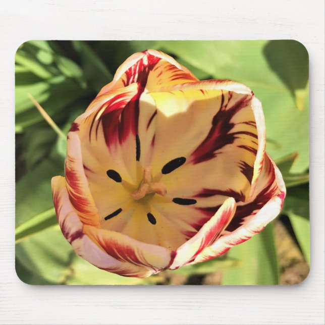 Inside Red & White Tulip Mousepad (Vorne)