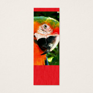 Inspektion. Scarletmacaw-Rot-Lesezeichen