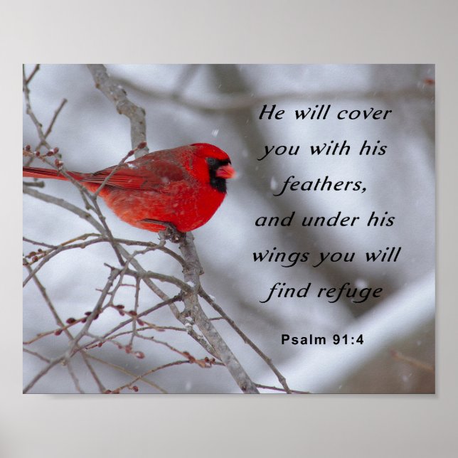 Inspiration Bibel Verse, Psalm 91:4 Poster (Vorne)