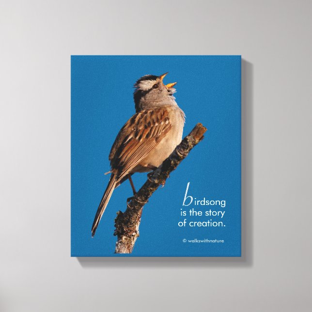 Inspiration "Birdsong is the Story of Creation" Leinwanddruck (Vorderseite)