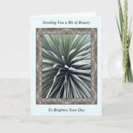 Inspiration Get Well-Card mit einem Atemberaubende Karte