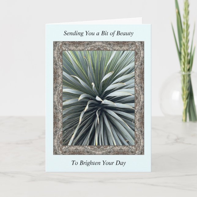 Inspiration Get Well-Card mit einem Atemberaubende Karte (Vorderseite)