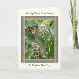 Inspiration Get Well-Well-Card mit Monarch Butterf Karte